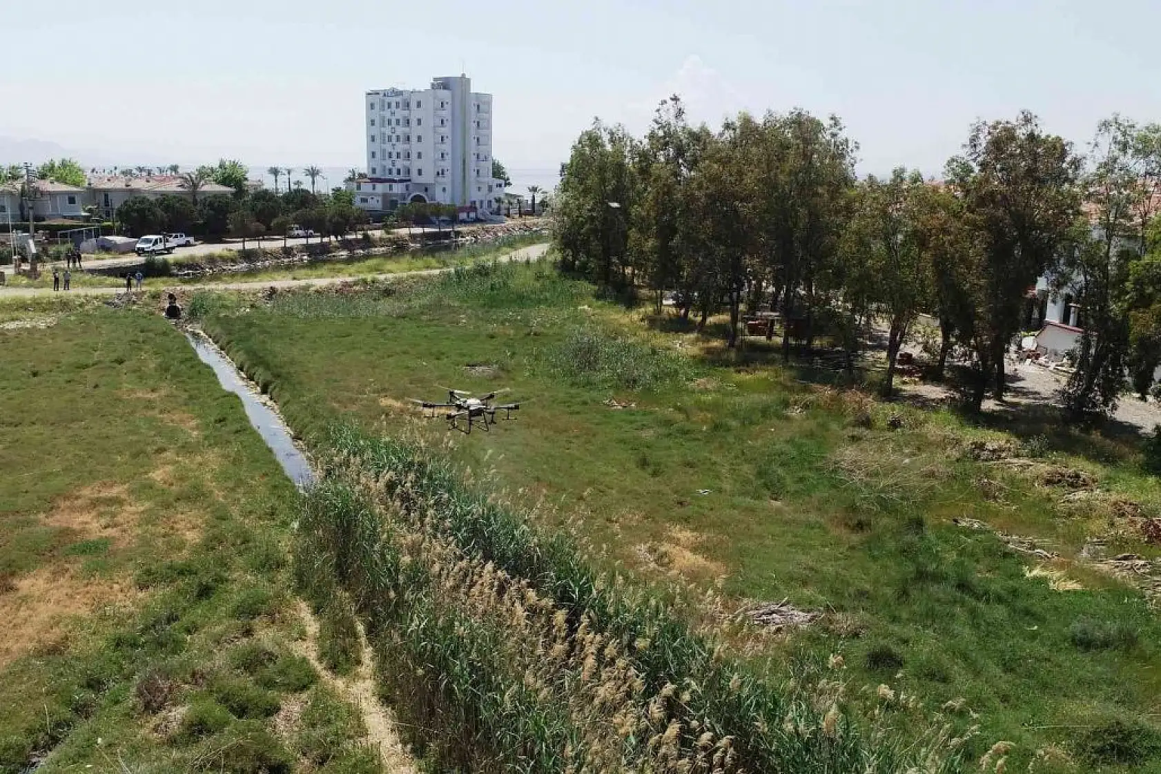 ZİHA'ların hedefinde sivrisinekler var
