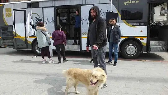 Balıkesir'de sokak hayvanlarına VETBÜS şefkati
