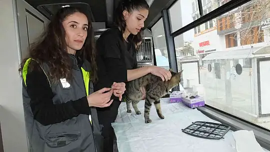 Balıkesir'de sokak hayvanlarına VETBÜS şefkati