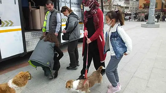 Balıkesir'de sokak hayvanlarına VETBÜS şefkati