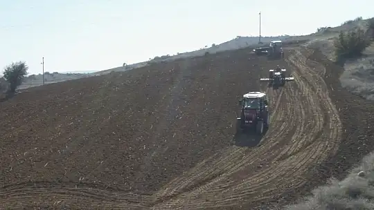 Balıkesir'de süt otu tohumu toprakla buluştu