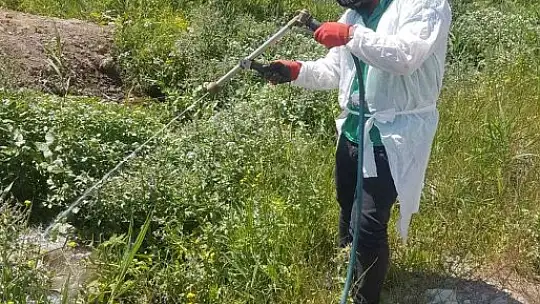 Sineksiz bir Edremit için çalışılıyor