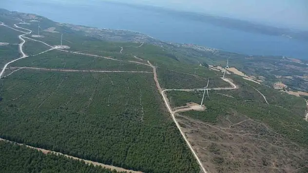 Çanakkale'de 2008 yılında küle dönen alan dikilen 2 milyondan fazla fidanla yeniden yeşillendi